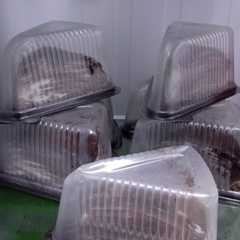 รูปของ Mille crepes tiramisu gluten free