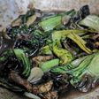 Baby Pok Cay cah Jamur ala Subi 😍