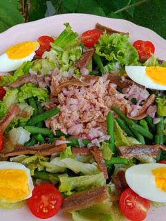 A picture of 🌺 My Style Niçoise Salad 🌺.