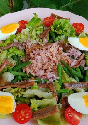 A picture of 🌺 My Style Niçoise Salad 🌺.