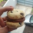 Alfa cookies