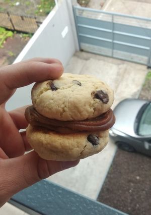 Una foto de Alfa cookies