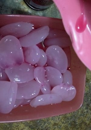Foto resep Manisan kolang kaling