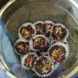 Coklat konfleks