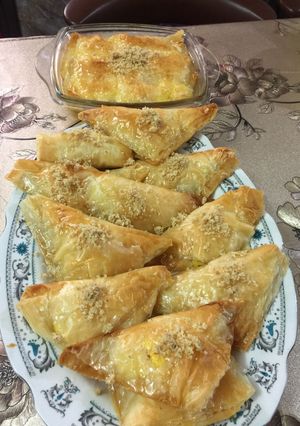 صورة لوصفة الشعيبيات