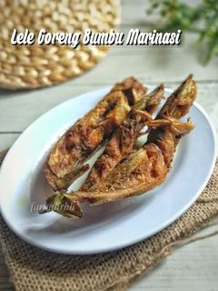 Foto resep Lele Goreng Bumbu Marinasi