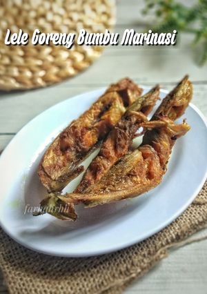 Foto resep Lele Goreng Bumbu Marinasi
