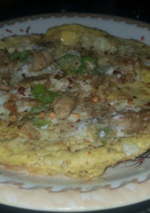 A picture of Cheese chicken omlete.