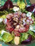 Salade de printemps aux radis cerises et mozzarella di buffala