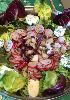 Une photo de Salade de printemps aux radis cerises et mozzarella di buffala