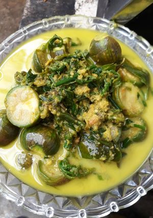 Foto resep Gulai Pakis & terong Bulat