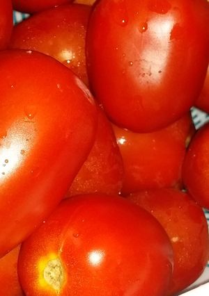 صورة لوصفة وقت الطوماطيش اسهل طريقة لحفضها