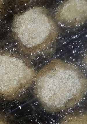 Una foto de Bombitas de papa y camote!