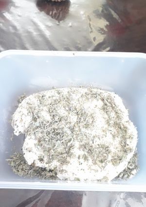 عکسی از دستور پنیرخانکی لاکتیکی