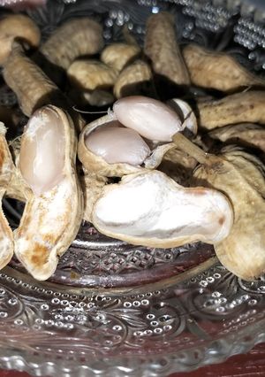 Foto resep Kacang kukus asin