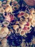 Orecchiette pomodori, moscardini e funghi