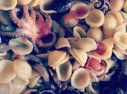 Una foto di moscardini pomodoro