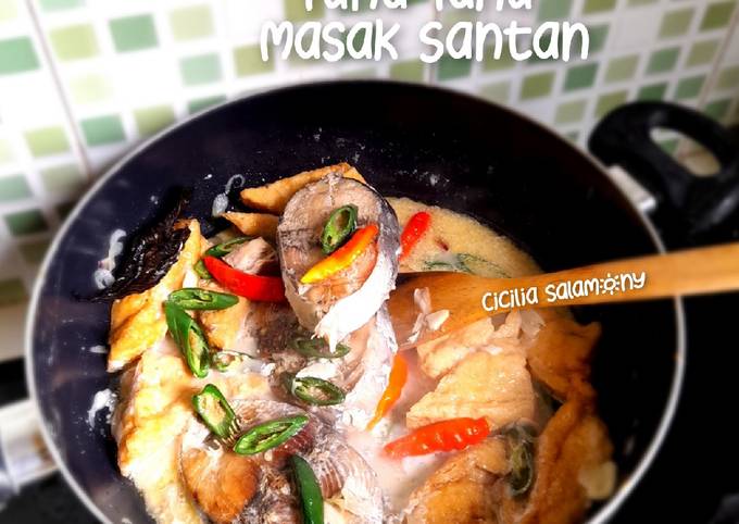 Panduan Masakan Resep Tuna Tahu Masak Santan