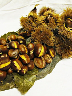 Foto de Castanhas assadas {no forno}