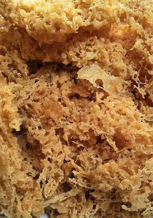Foto resep Kremes renyah