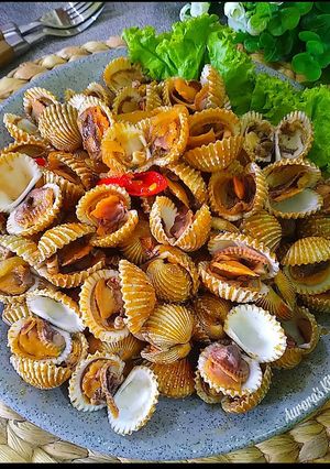 Foto resep Kerang Dara Saus Padang