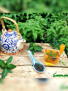 عکسی از دستور چای سبز