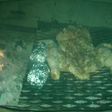Pollo con papas a la parrilla