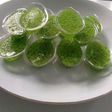 Puding lumut