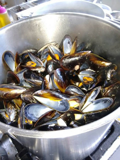 Una foto de Mejillones al vapor
