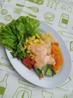 Foto resep Salad Sayuran