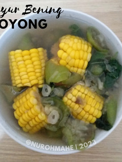 Foto resep Sayur Bening Oyong