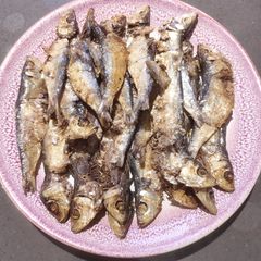 A picture of Tuyo.