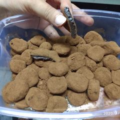 A picture of Unique Condensed Chocolate Truffles.
