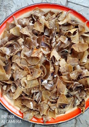 A picture of Dried pkomo.