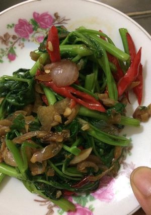Foto resep Tumis kangkung