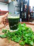 Nước rau má