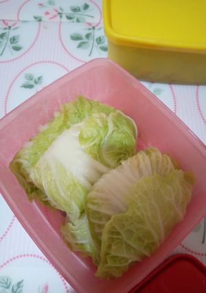 Foto resep Dimsum sawi putih