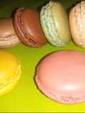 Macaron francés