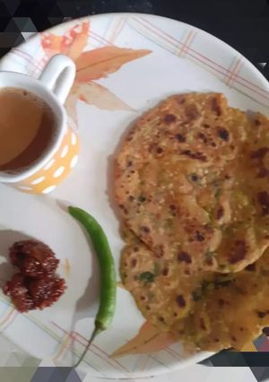 A picture of Rice Thepla.