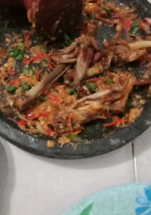 Foto resep Sambel teasi pke teri dan kacang panjang