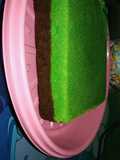 Brownies kukus pandan Coklat No mixer 😊