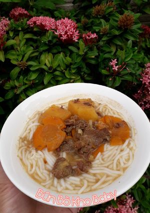 Hình của món Ăn dặm: bò kho baby.