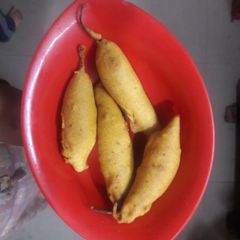 Mirchi Vada A picture of Mirchi Vada.