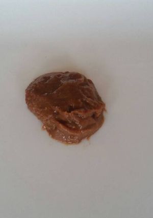 A picture of Home-Made Tamarind Paste.