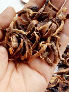 A picture of Fried Onions (Barista) in Microwave.