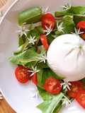💚 Vegetarian Salad Mùa Xuân (Lá Bồ Công Anh, Hoa Tỏi Gấu & Phô Mai Burrata)