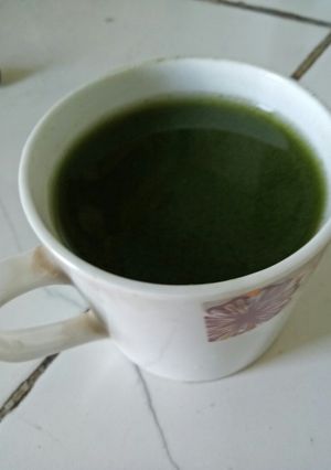 A picture of Palak soup.