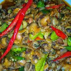 รูปของ Kerang dara tumis pedas