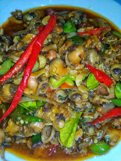 Foto resep Kerang dara tumis pedas