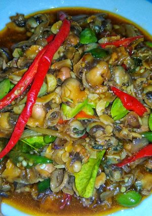 Foto resep Kerang dara tumis pedas